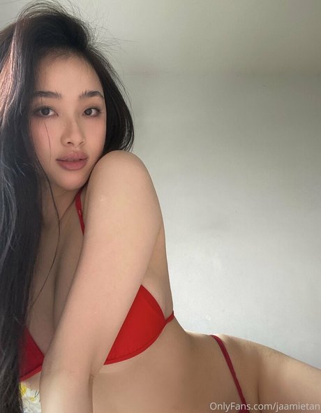 Jaamietan freie perfekte bild