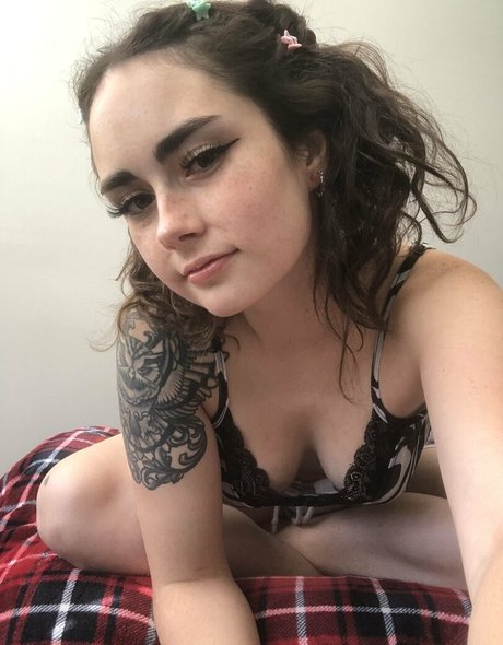 hnnnyy schöne kostenlose bilder