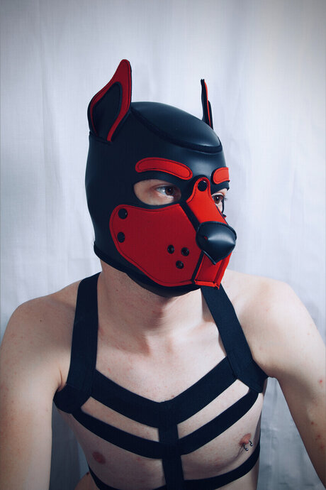 PupJako freie pornographische galerie