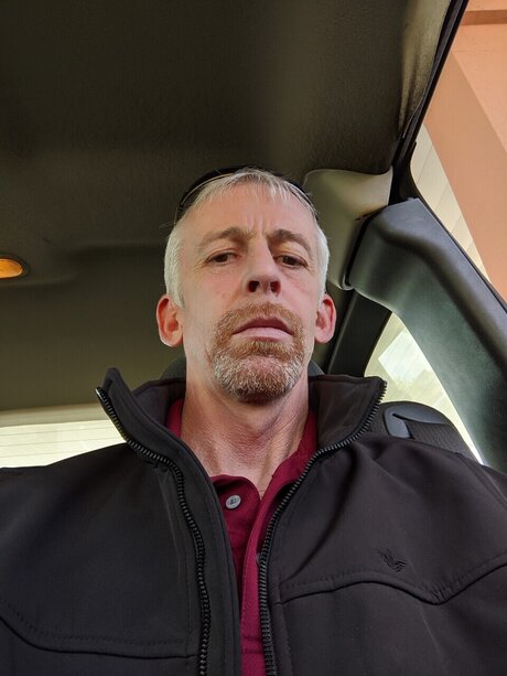 Sir Fox heiße nette bild