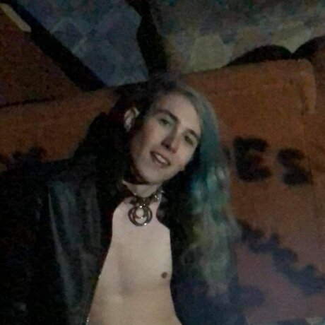 schwimmen nur fans hd schöne fotos