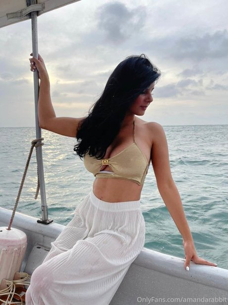 Amanda Rabbit freie perfekte bilder