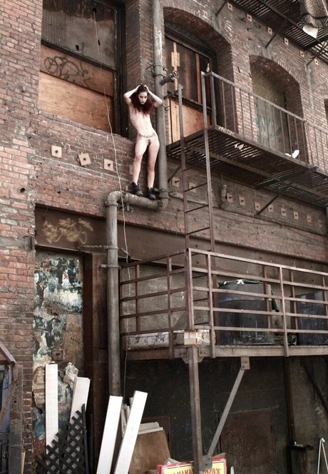 küche nur fans perfekte hd bild