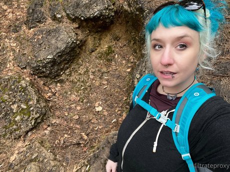 Proxy Paige top kunst galerie