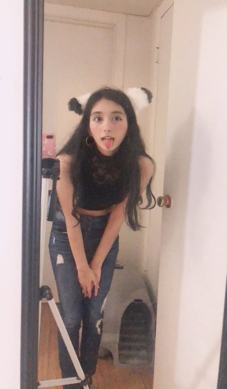 hinawynne exklusive top galerie