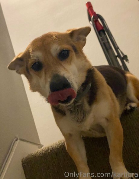 Karlibra porno schöne galerien