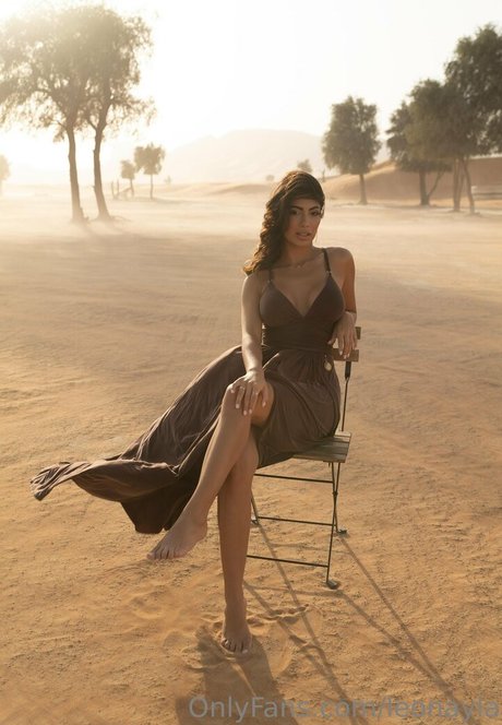 leonayla perfekte kunst bild