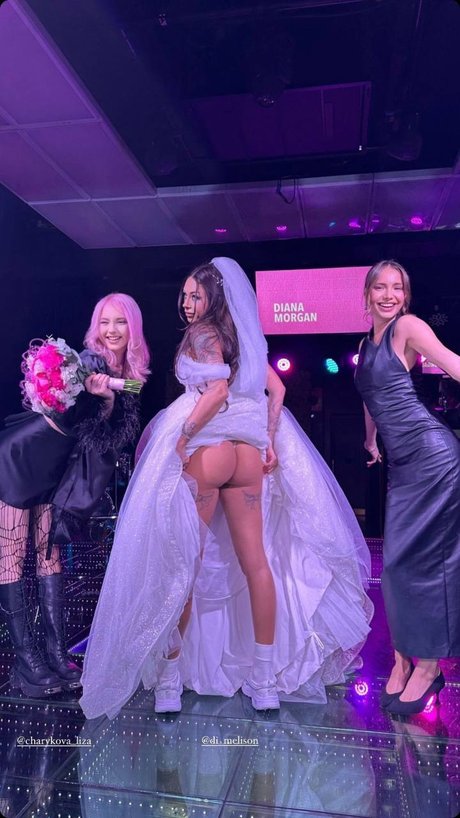 Diana Melison xxx hd archiv