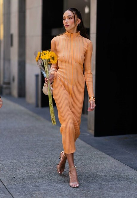 Sophia Culpo perfekte schöne bild