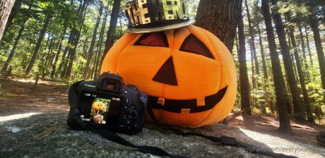 everyoneshero erotische pornographische galerie