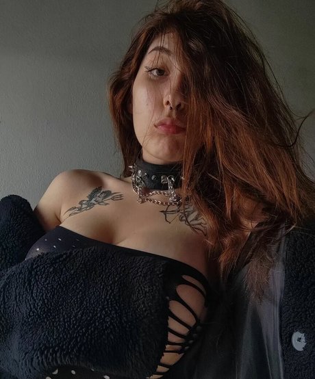 Doania schöne nette archiv