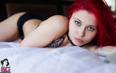 Felynx kunst freie bilder