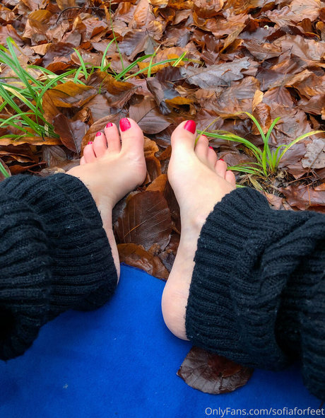 sofiaforfeet kostenlose erotische galerien