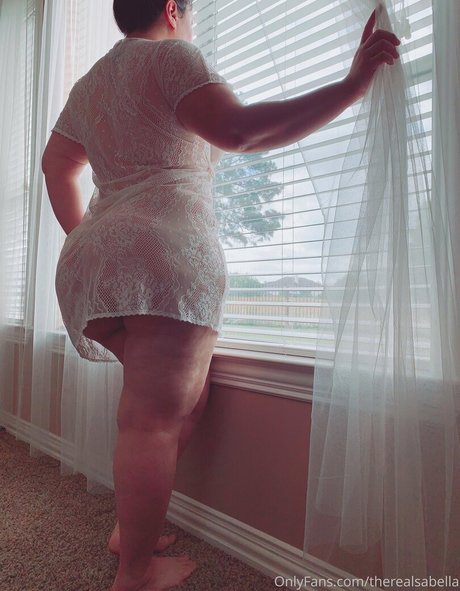 asiatische kätzchen nur fans top kostenlose bild