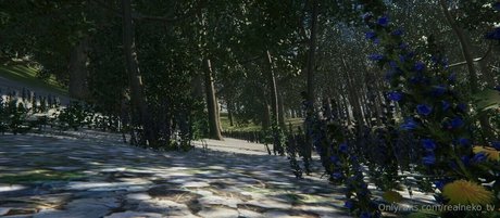 realneko tv akt pornostar archiv