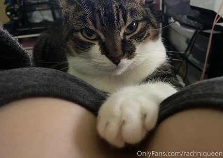 lisasayshello heiße freie foto