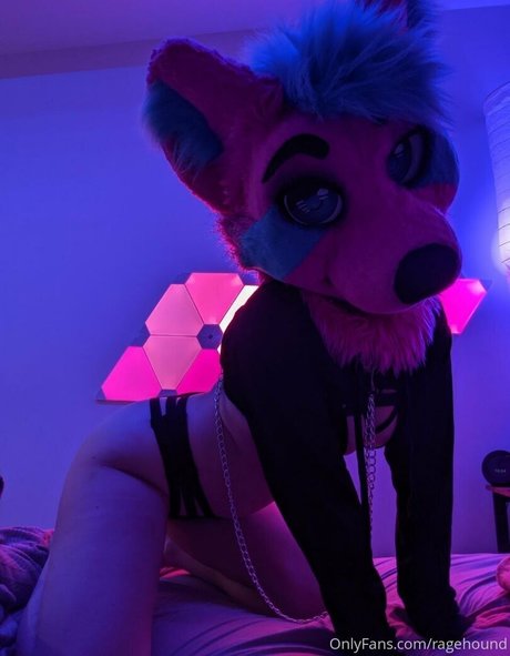 ragehound porno kostenlose fotos