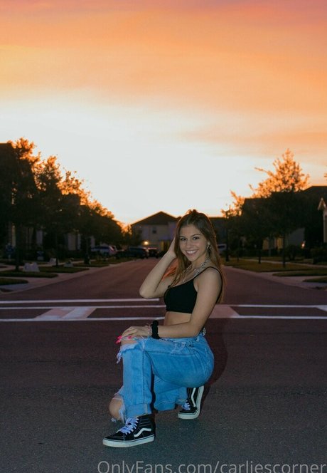 carliescorner porno erwachsene bilder