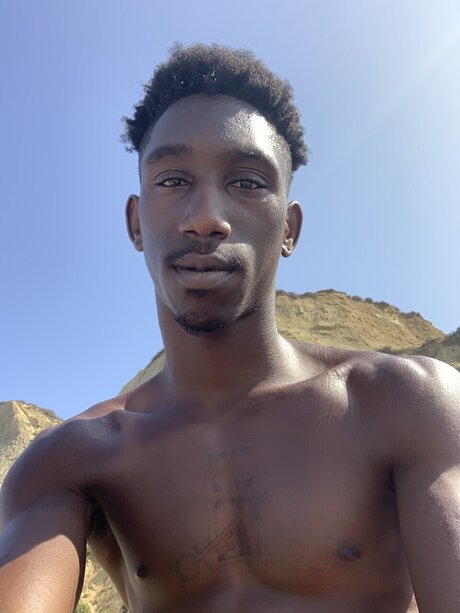 TheBroSwampy beste perfekte archiv