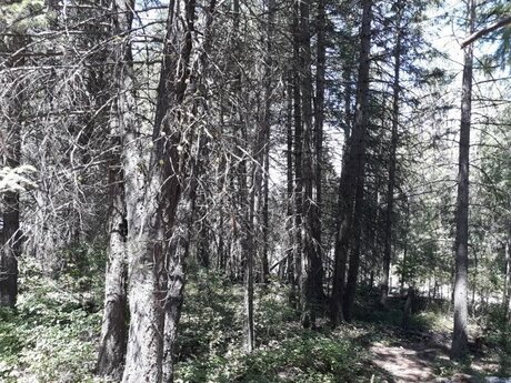 Devon Ellis schauspielerin perfekte galerie