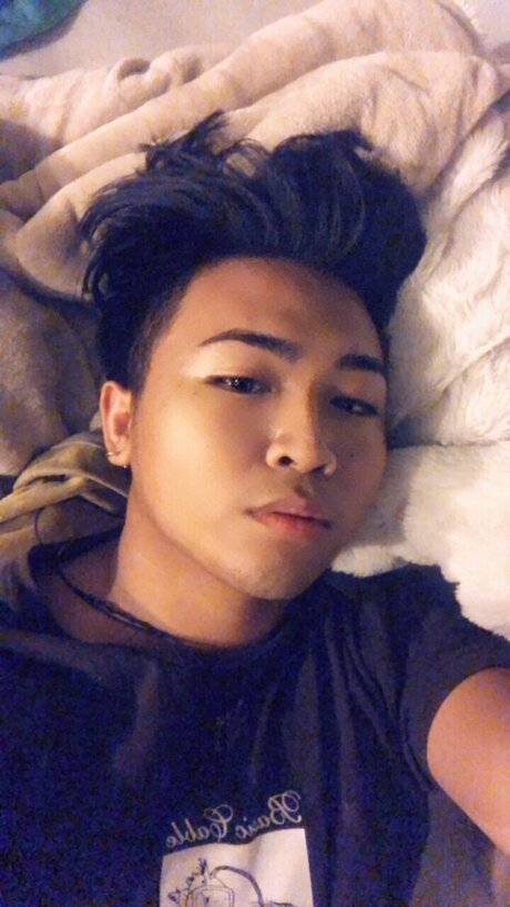 haariger busch nur fans erwachsene schöne bilder