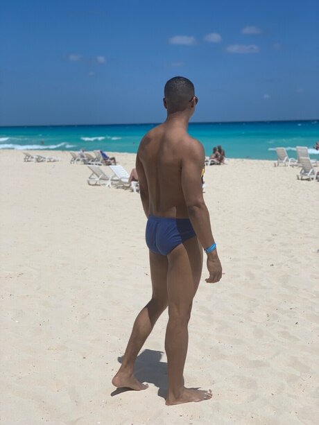 Heron beste nette foto