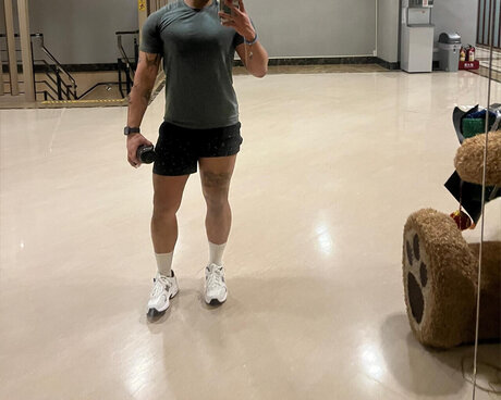 Wildebeest pornostar perfekte fotos