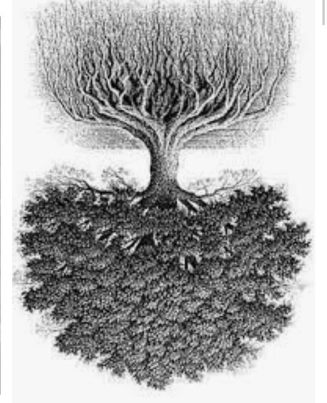 WIZ erwachsene erotische fotos