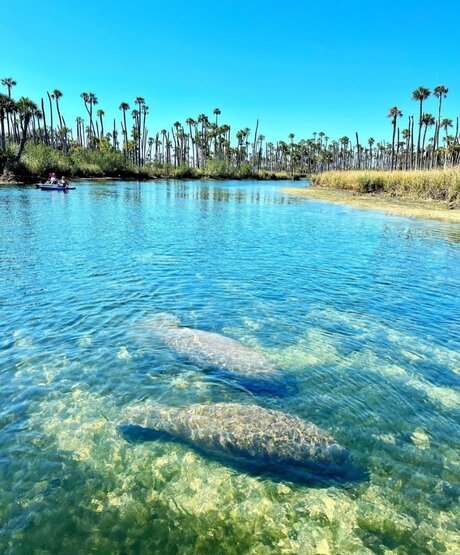 Reneeashley92 porno kunst fotos