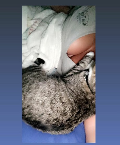 Mackenzie Spohn Bilder