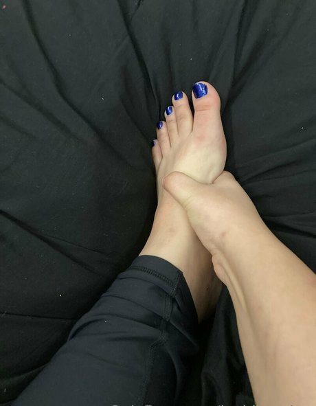 mollige prinzessin nur fans hd freie fotos