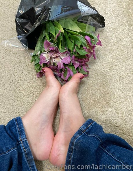 lachleamber sexy top galerie