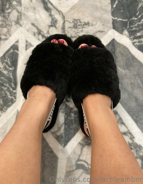 lachleamber schauspielerin nette archiv