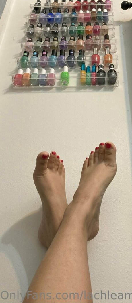 lachleamber hd kunst foto