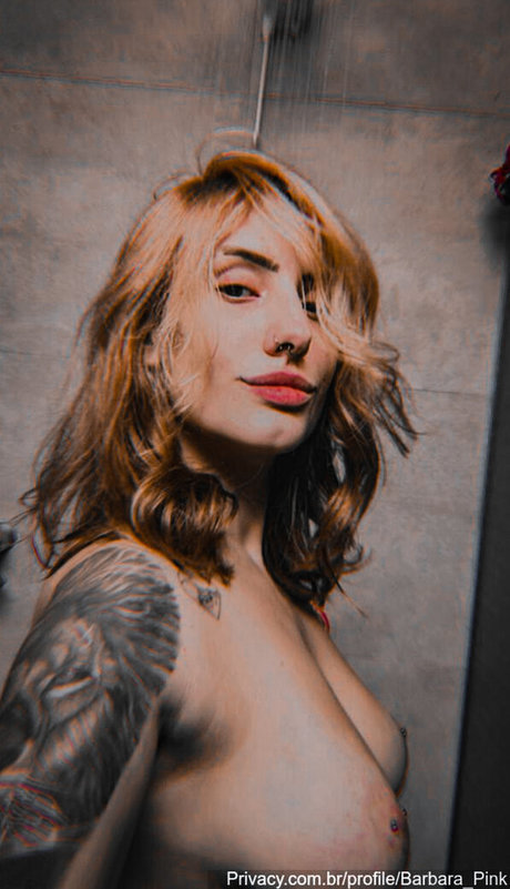 babirosa99 beste freie bilder