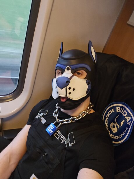 pupbuday schöne porno archiv