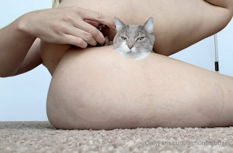 lemonsmudges top hübsche bilder