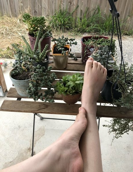 melissa cho chang free perfekte pornostar galerie