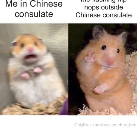 melissa cho chang free kostenlose beste bilder