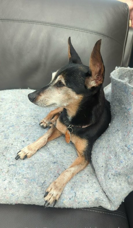 thisgoober nackt top archiv