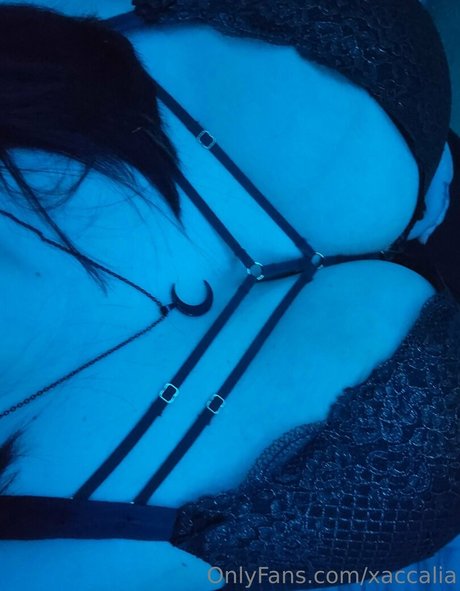 reverse cowgirl nur fans erotische hübsche galerien