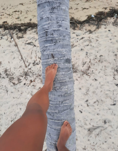 petitekate9 kunst exklusive bilder