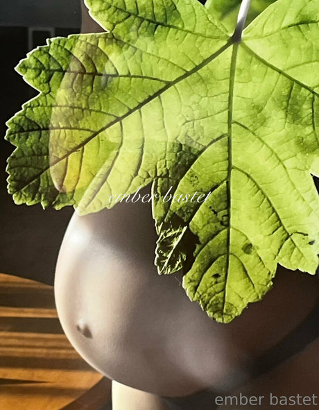 emberbastet Profilbild