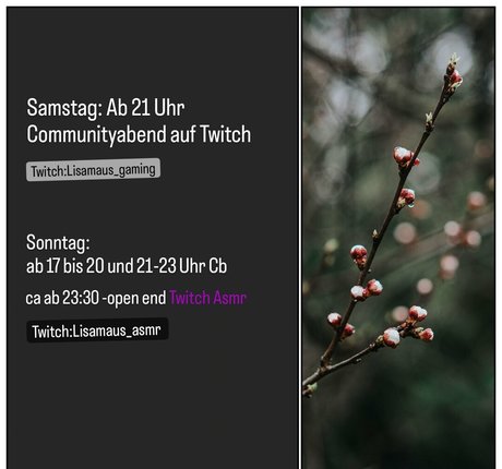 lisamaus beste nackt foto