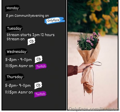 lisamaus hd beste fotos
