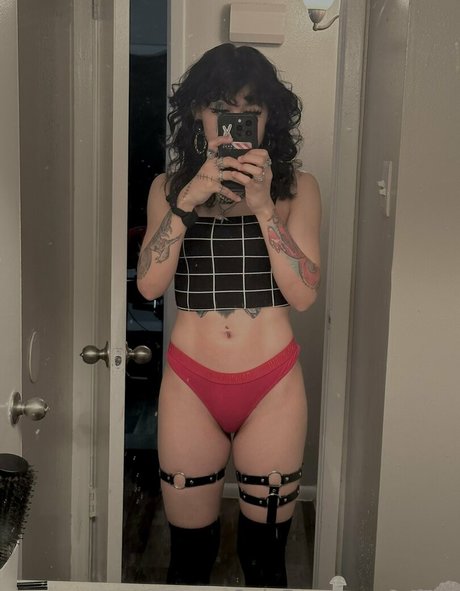 xslxtx kostenlose perfekte galerien