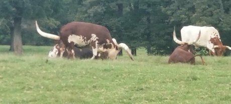 oma-muschi nur fans exklusive erotische fotos