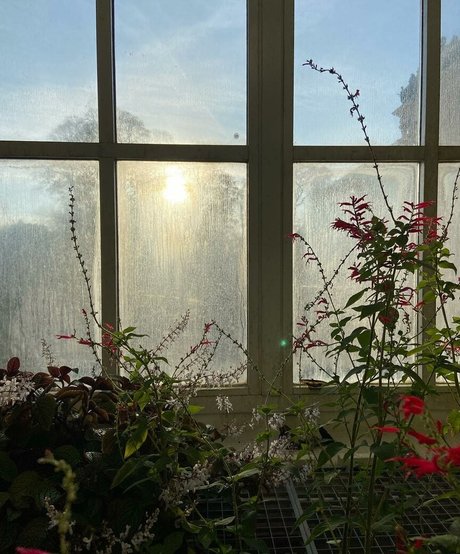 riesige shemale-onlyfans perfekte hd bild