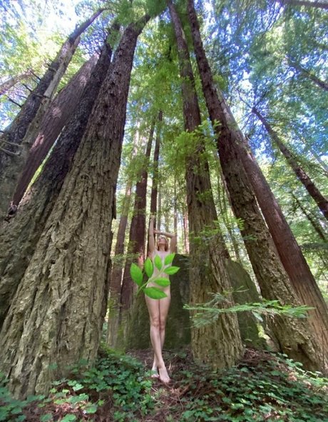 vesperdollfree schöne akt foto