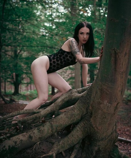 Jensteviexo sexy porno foto